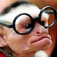 Funny-Monkey-Faces-the-funpop-128028_198_196