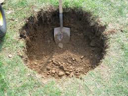 shovel in hole