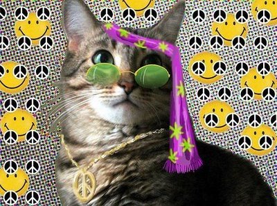 HippieCat