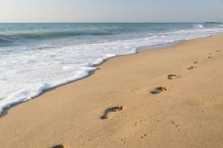 footprints