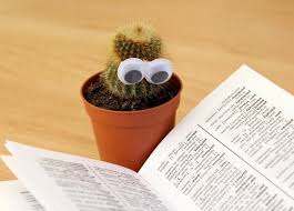 reading cactus